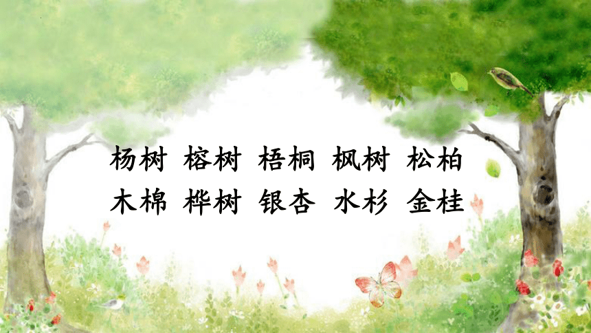 2树之歌（课件）(共41张PPT)