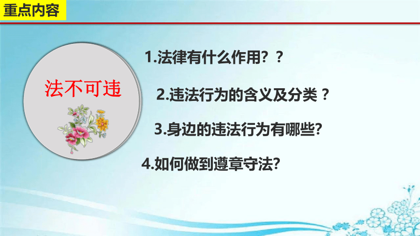 5.1法不可违 课件（27张幻灯片）