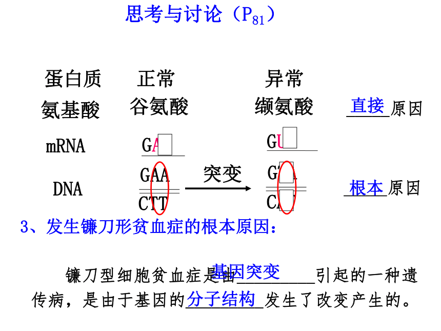 2021-2022学年高一下学期生物人教版必修2-5.1基因突变和基因重组课件(共24张PPT)