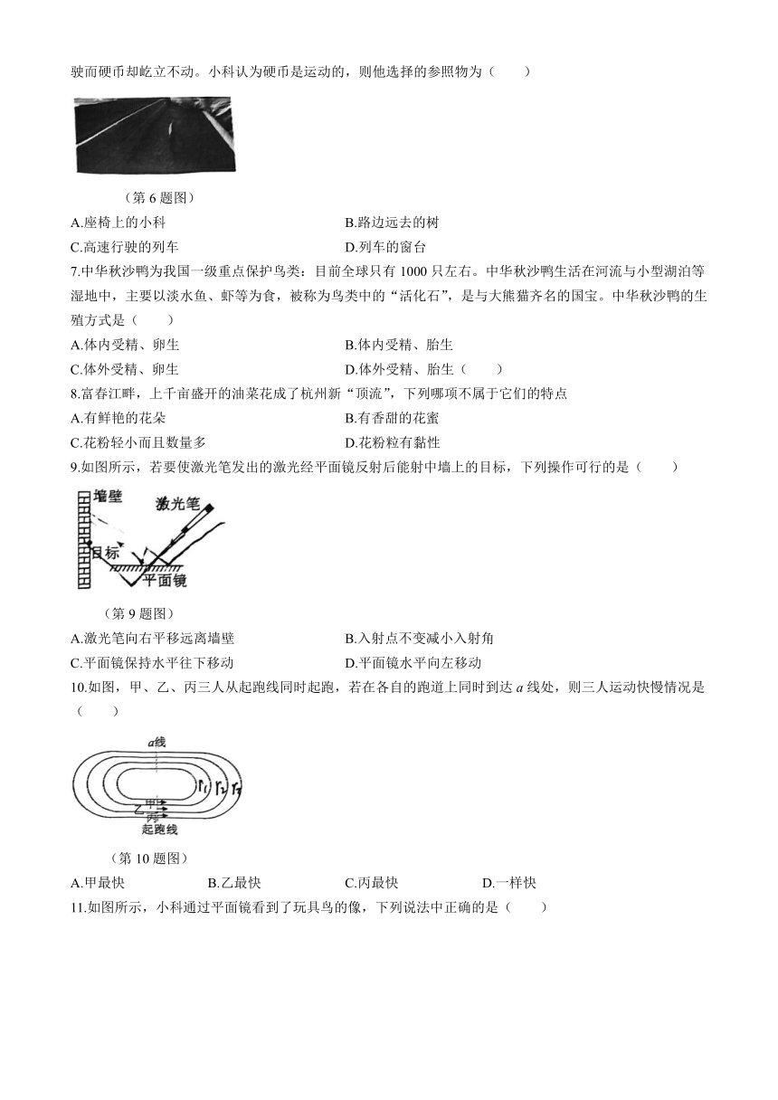 浙江省湖州市华盛达实验中学2023-2024学年七年级下学期4月期中试题卷(到第3章第1节 word版，无答案)