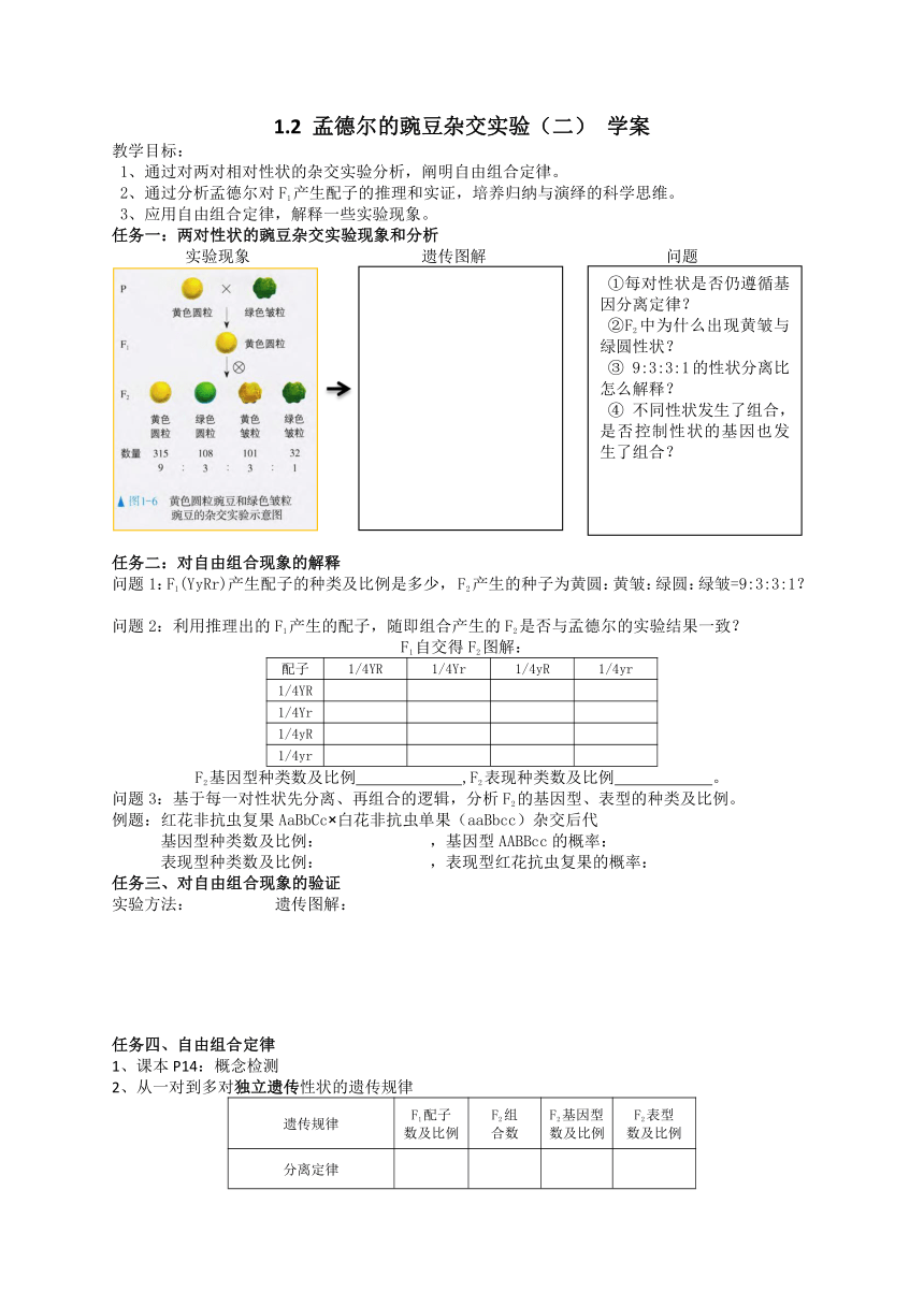 1.1孟德尔豌豆杂交实验（二）学案-2022-2023学年高一下学期生物人教版（2019）必修2