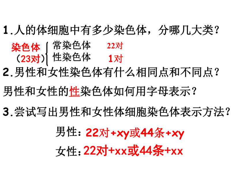 4.4.3人类染色体与性别决定 课件-（共40张PPT）