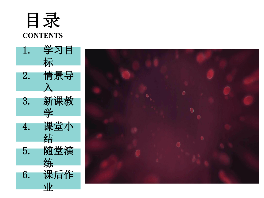 八年级下册生物北师大版课件：8.24.3 关注城市环境(共29张PPT)