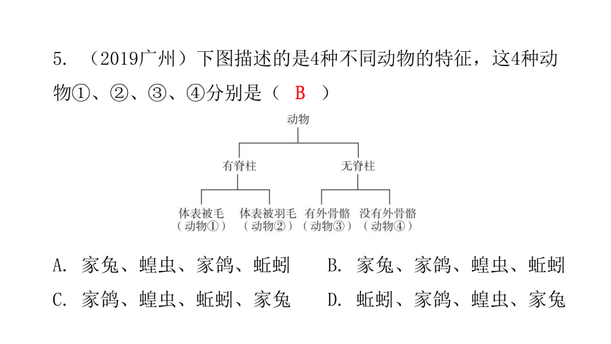 22 章末总结 课件 2020-2021学年八年级生物下册（北师大版）（36张PPT）