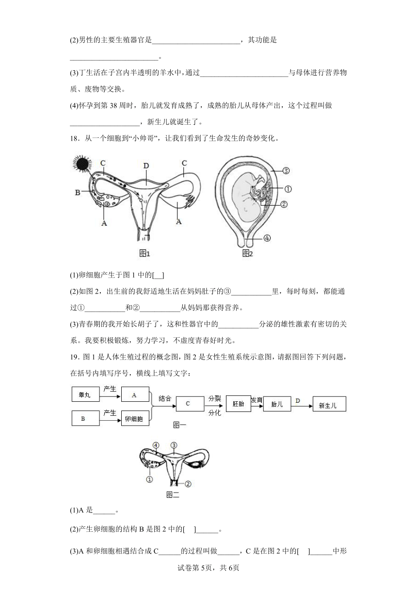 人教版七年级下册4.1.2人的生殖 同步练习（含解析）