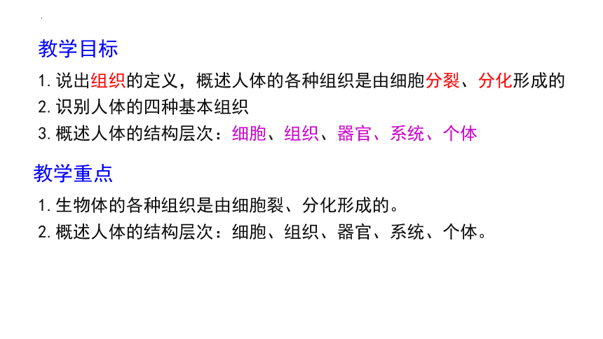 2.2.2 动物体的结构层次  课件2022-2023学年人教版生物七年级上册