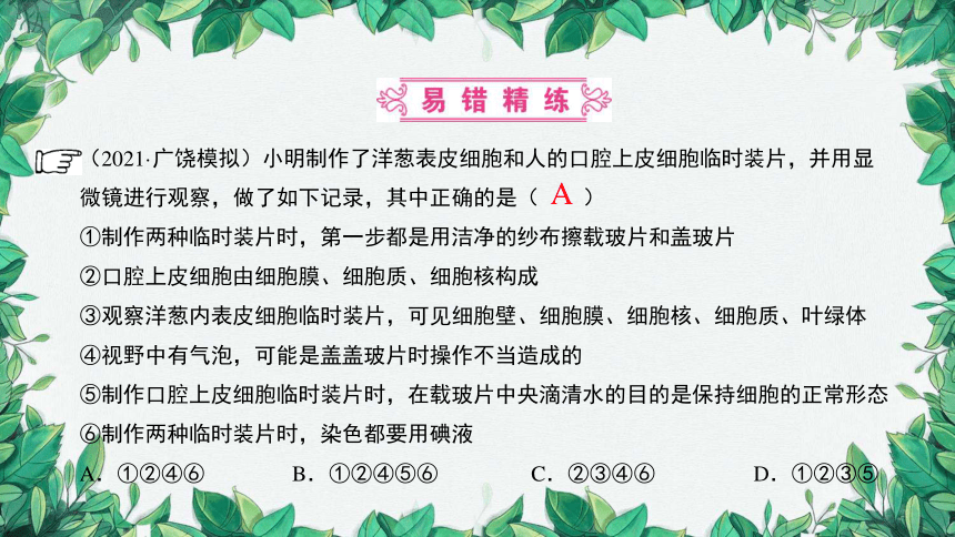 2023年中考生物复习 课题五 制作临时装片课件(共26张PPT)