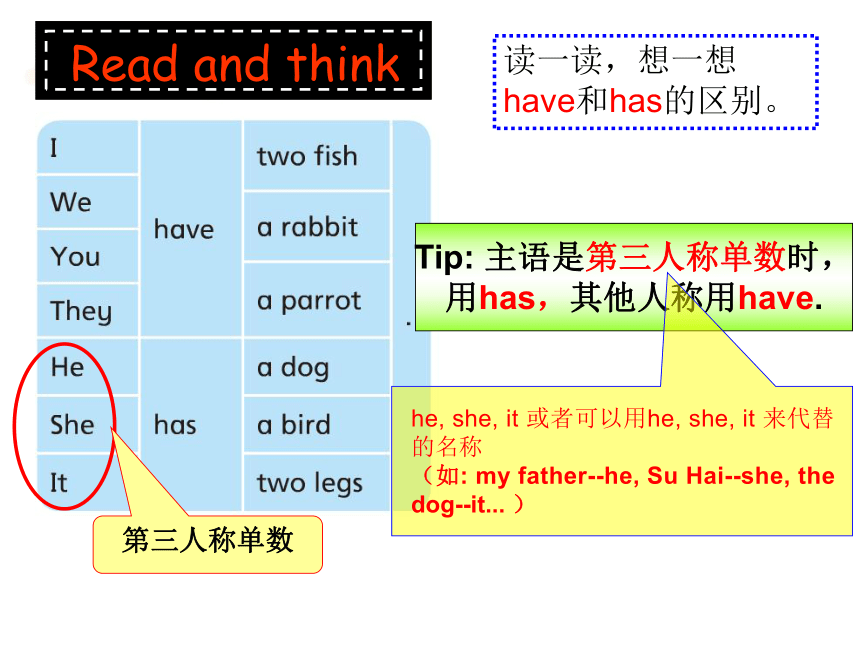 Unit 3 Our animal friends（Grammar-Fun time）课件（共52张PPT）