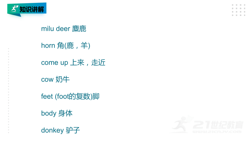 Lesson 12  Revision 第1课时 词汇复习 课件(共23张PPT)