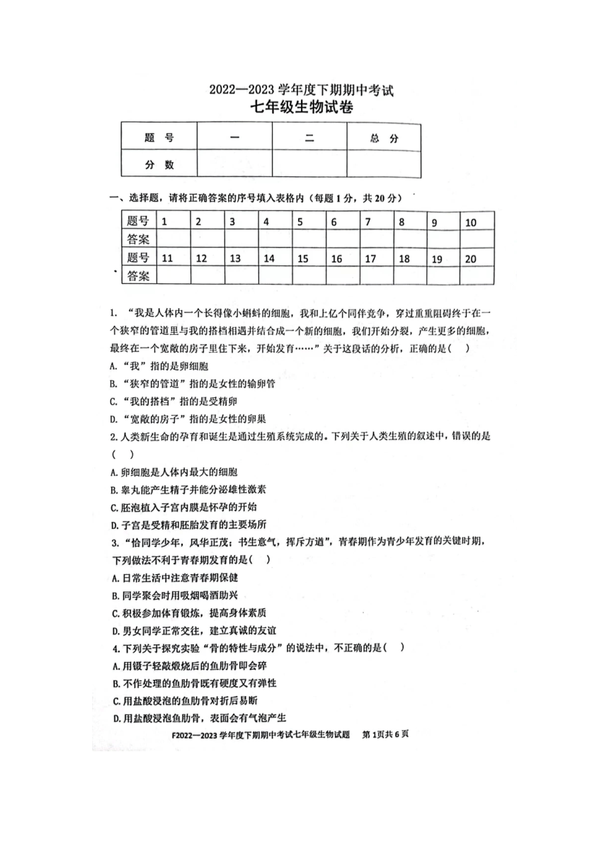 河南省周口市扶沟县2022-2023学年七年级下学期期中考试生物试卷（pdf版含答案）