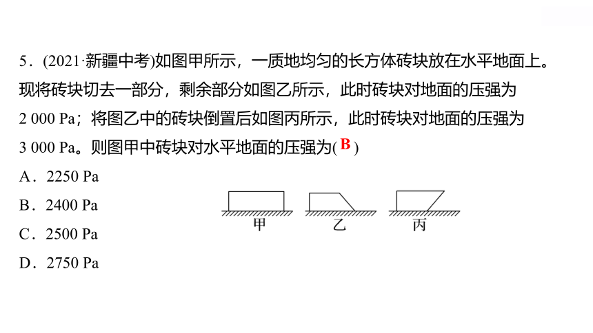 2022 物理 八年级下册专项培优练七 固体和液体压强的计算 习题课件(共31张PPT)