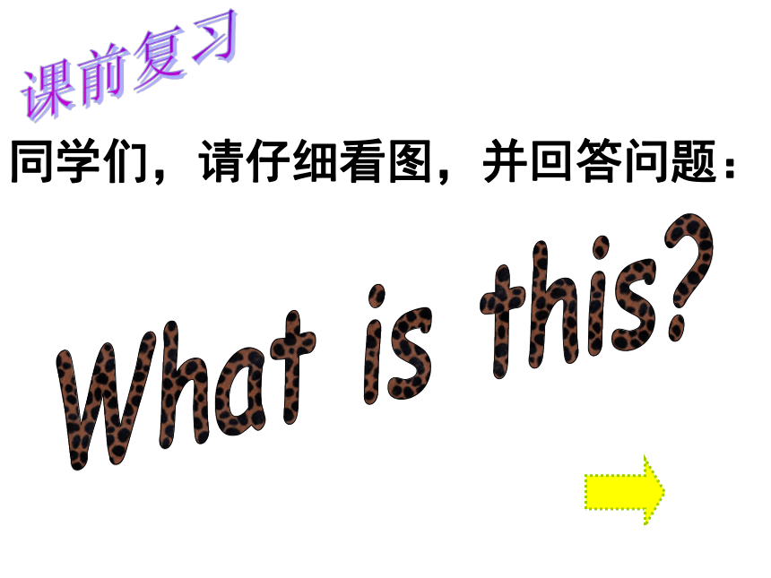 Unit 2 Lesson 7 At the Zoo课件(共21张PPT)