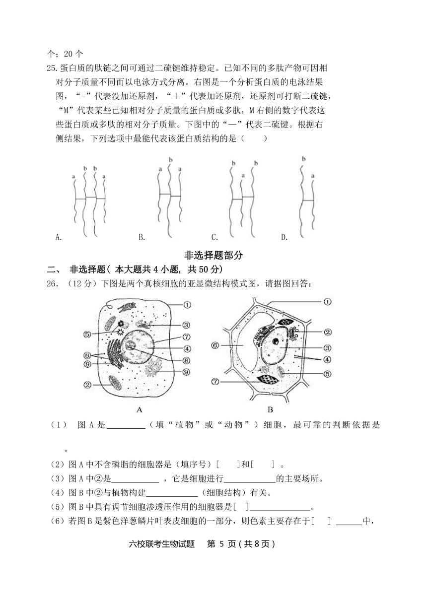 浙江省台州市六校2020-2021学年高一上学期期中联考生物试题 Word版含答案