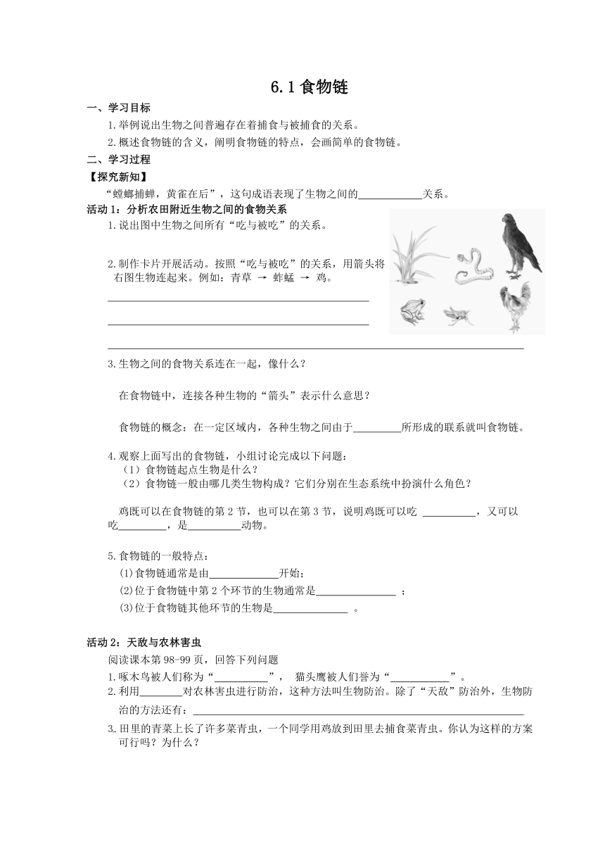 3.6.1 食物链学案  （含部分答案）苏科版七年级生物上册