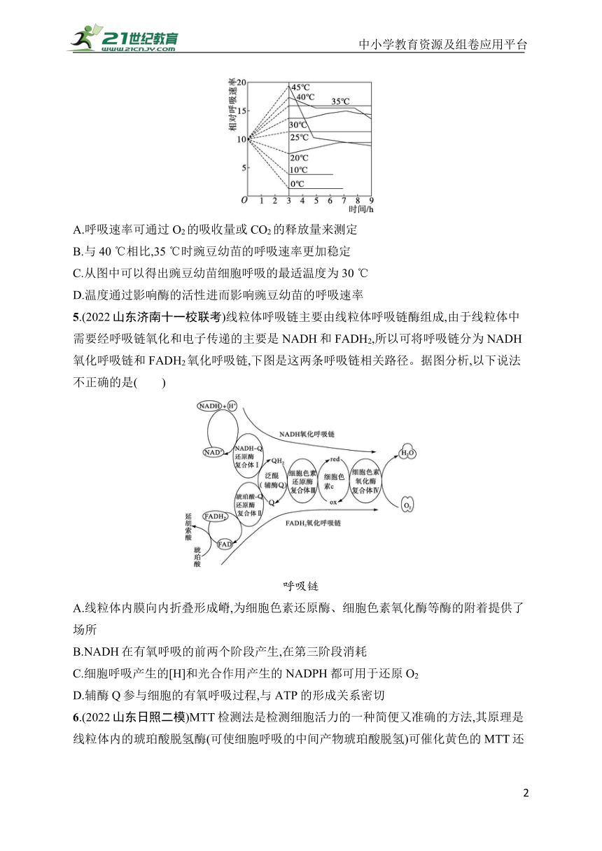 高中生物课时规范练8　ATP与细胞呼吸(学生版含答案详解)