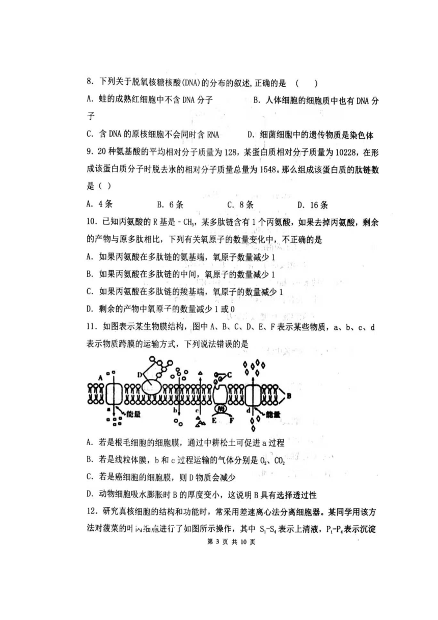 辽宁省渤海大学附属高级中学2021-2022学年高三上学期第一次考试生物试题（图片版，无答案）