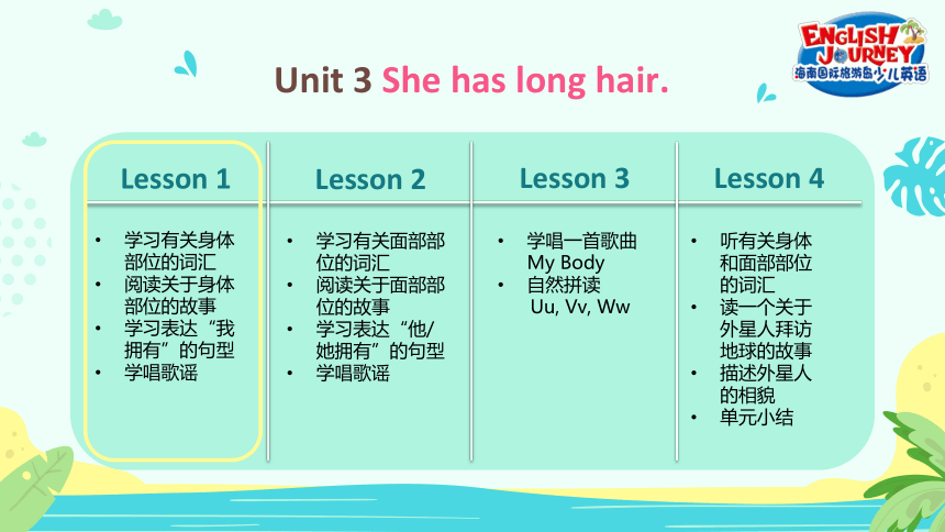 海南国际旅游岛少儿英语二年级（下） Unit 3 She has long hair. Lesson 1 课件（24张PPT）
