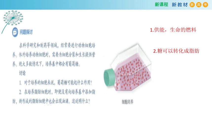 2.3 细胞中的糖类和脂质(2课时）(课件共22张PPT)