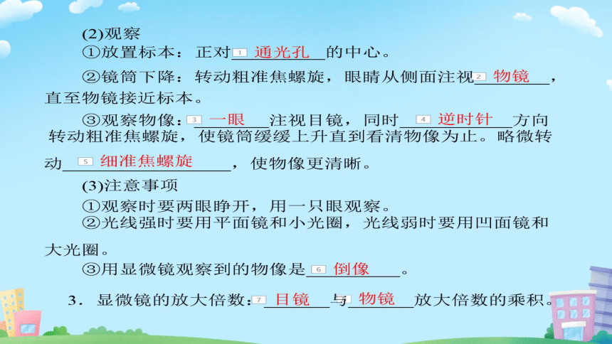 2022年人教版生物会考复习课件： 第1章 第1讲 显微镜和细胞(共16张PPT)