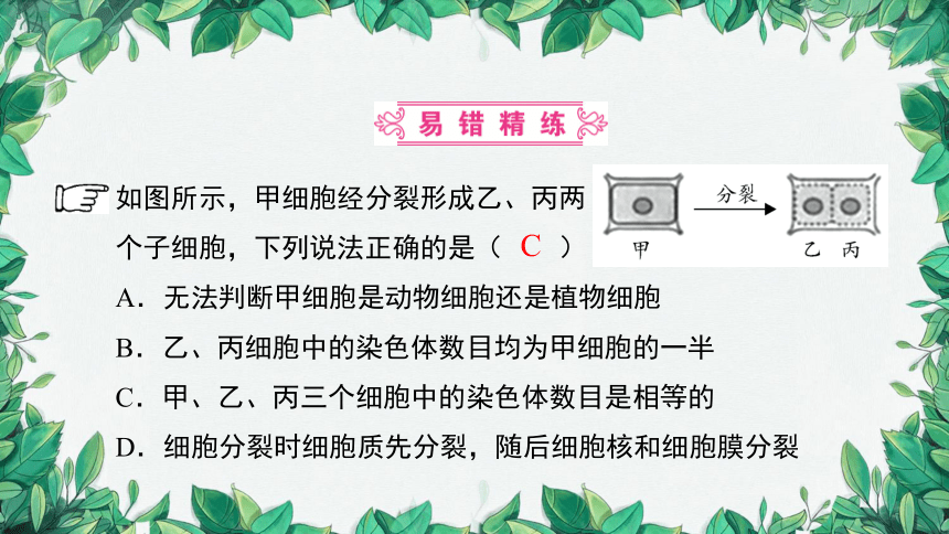 2023年中考生物复习 课题二 细胞的分裂、生长、分化课件(共26张PPT)