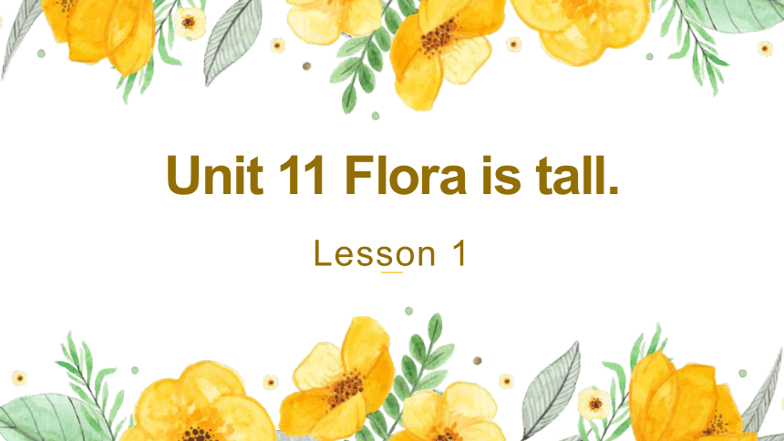 新概念英语（青少版）入门A Unit11 Flora is tall 同步精选备课课件