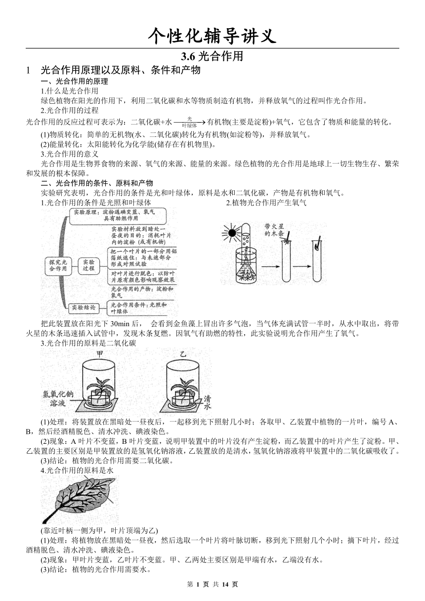 3.6.光合作用 专题复习讲义（学案 无答案）