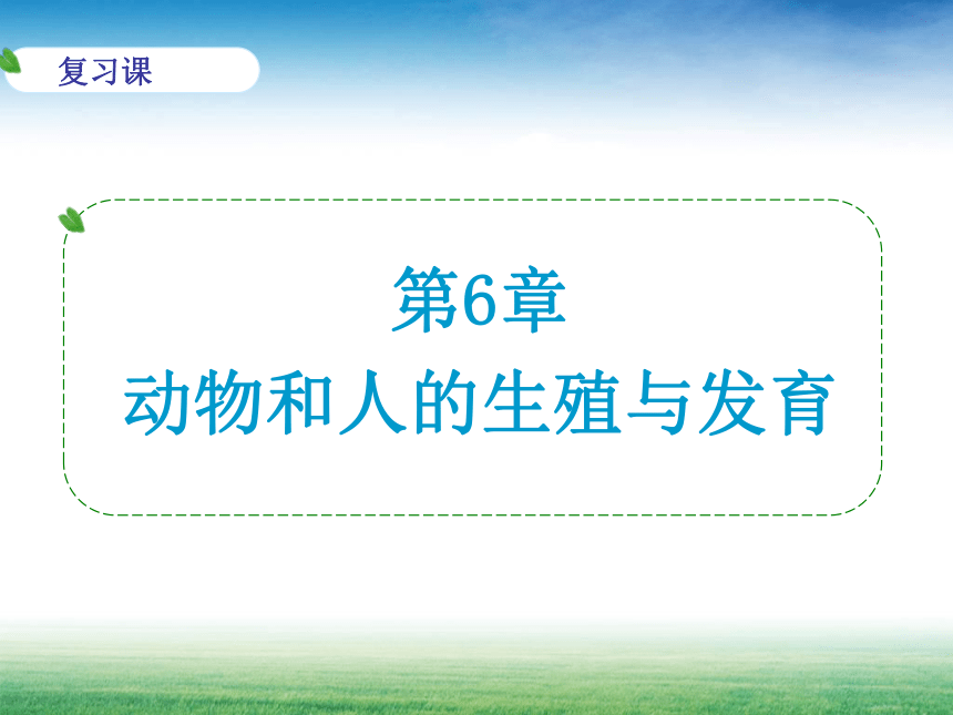 2020—2021学年华东师大版七年级科学下册 第六章 动物和人的生殖与发育复习（课件 31张PPT）