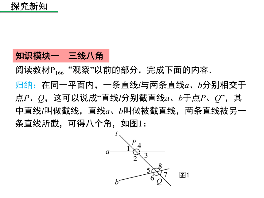 华东师大版2020年数学七年级上册第5章《5.1.3  同位角、内错角、同旁内角》课件（共25张PPT）