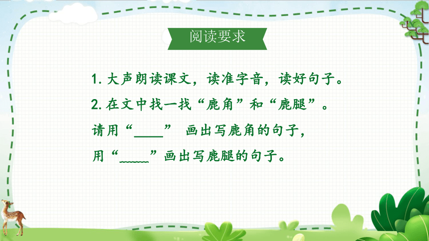 7.《鹿角和鹿腿》课件（共19张PPT）