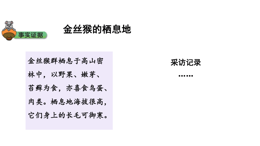 大象版六年级科学下册 1.2  金丝猴的家 课件(共17张PPT 含练习)