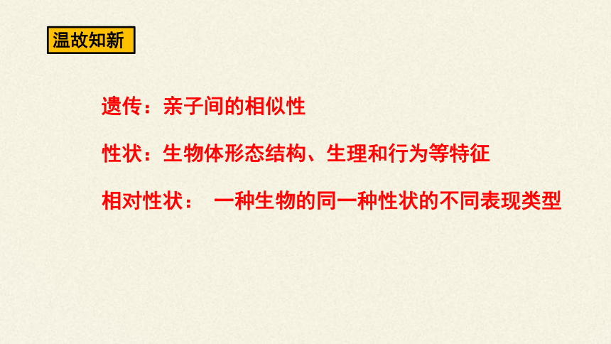 2020-2021学年高一下学期生物人教版必修二1.1孟德尔的豌豆杂交实验（一）课件