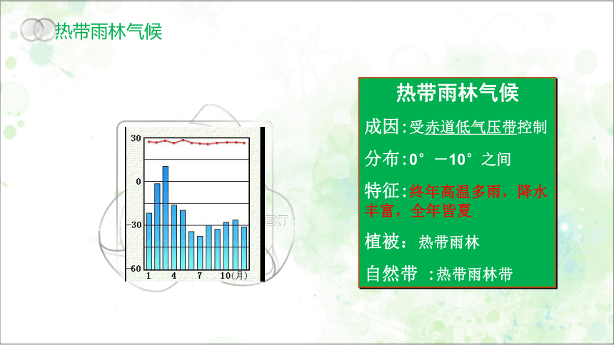 5.1 植被 （共28张ppt）