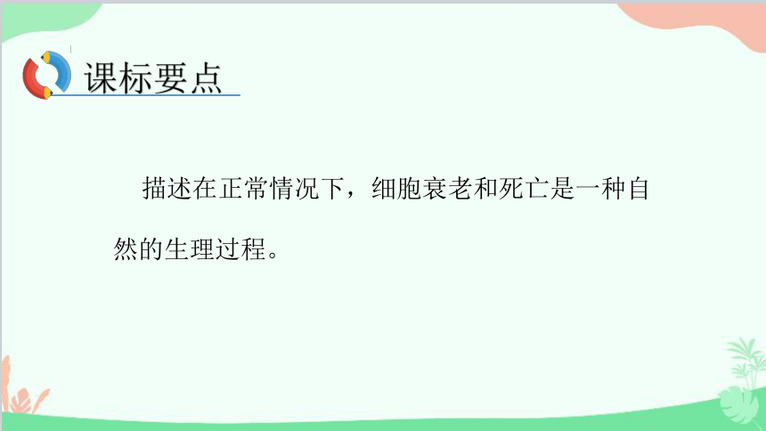 生物人教版(2019)必修1 第6章 细胞的生命历程 第3节细胞的衰老和死亡课件(共74张PPT)