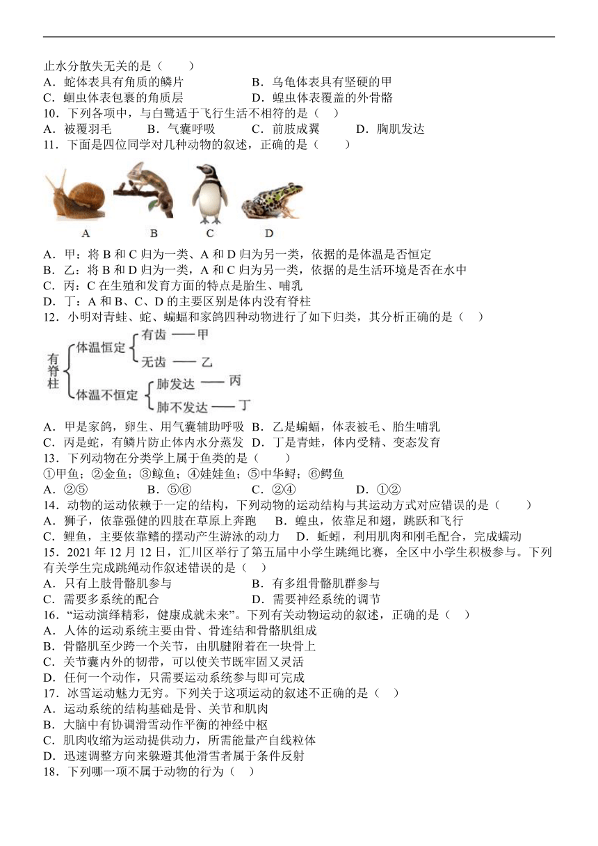 四川省泸州市泸县2022-2023学年八年级上学期期末模拟（2）生物学试题（含答案）