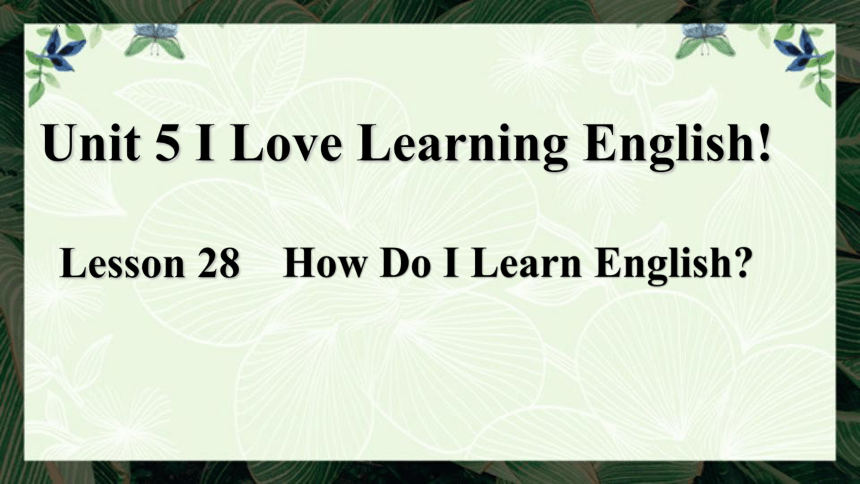 Unit 5 I Love Learning English! Lesson 28 课件 (共17张PPT)2023-2024学年冀教版英语七年级下册