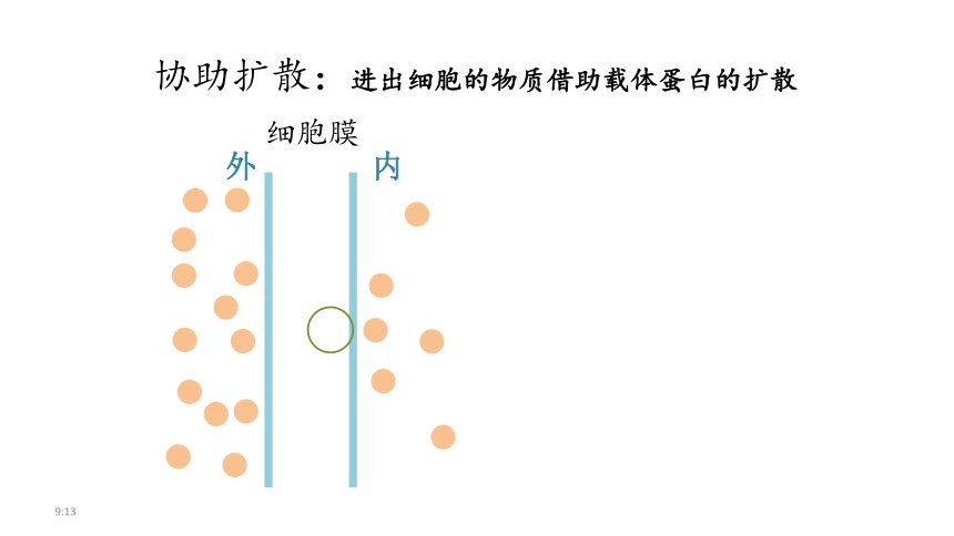 2021-2022学年高一上学期生物人教版1  4.3物质跨膜运输的方式课件（24张ppt）