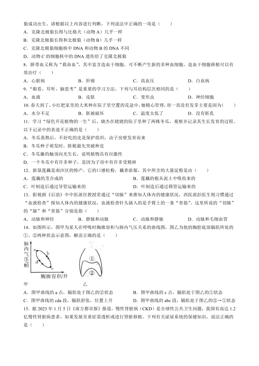 2024年河南省周口市郸城县模拟预测生物试题（含答案）