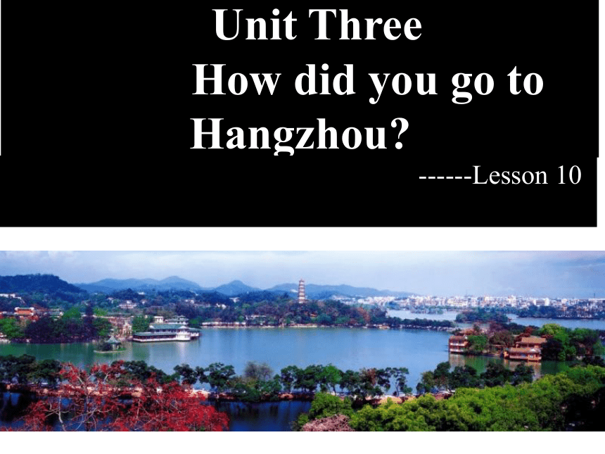Unit3 How did you go to Hangzhou？ Lesson10 课件