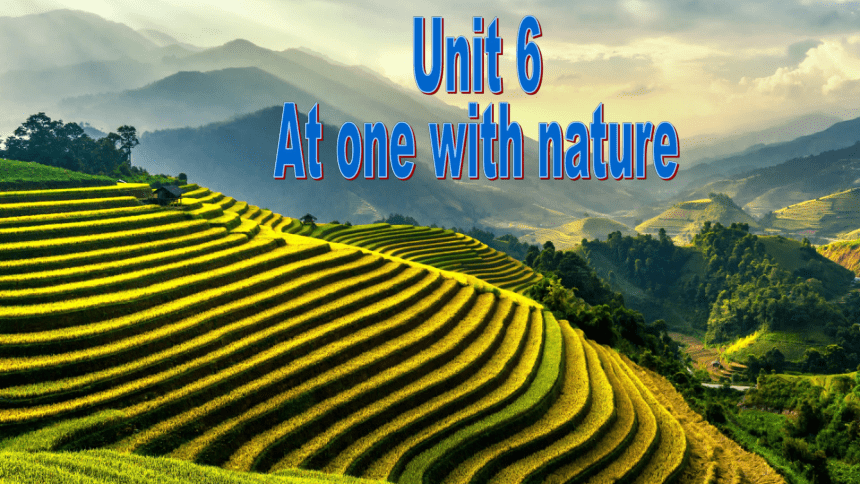 外研版（2019）必修第一册Unit 6  At one with nature Understanding ideas(33张PPT)