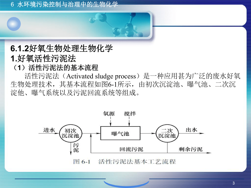 6.1污、废水生物控制与治理生物化学 课件(共38张PPT)- 《环境生物化学》同步教学（机工版·2020）