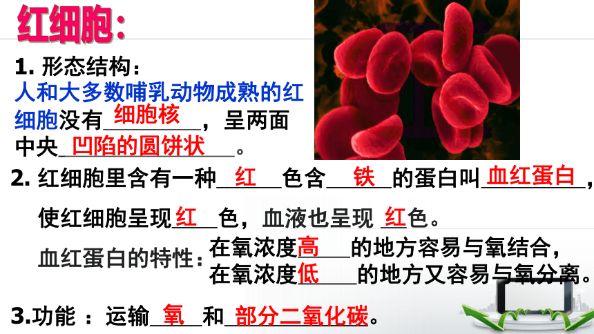 6.15.1人体内物质的运输——血液课件(共40张PPT)2022--2023学年苏科版八年级上册