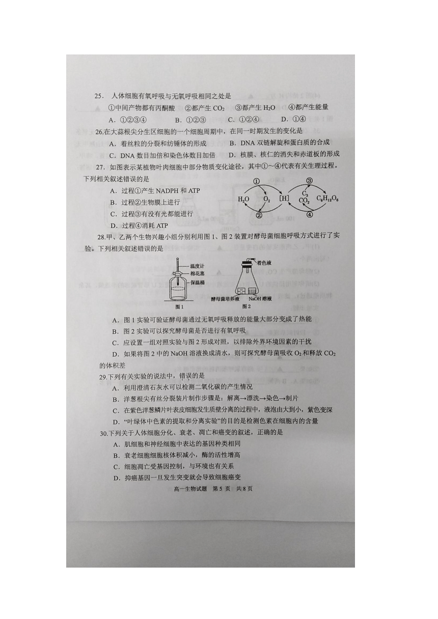 江苏省盐城市东台市2020-2021学年高一上学期期末考试生物试题       （图片版）