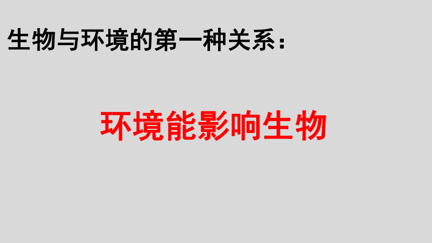 2021--2022学年人教版七年级上册生物1.2.1、生物与环境的关系课件(共33张PPT)