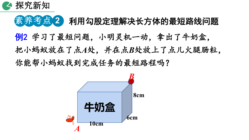 北师大版数学八年级上册1.3 勾股定理的应用 课件（33张）