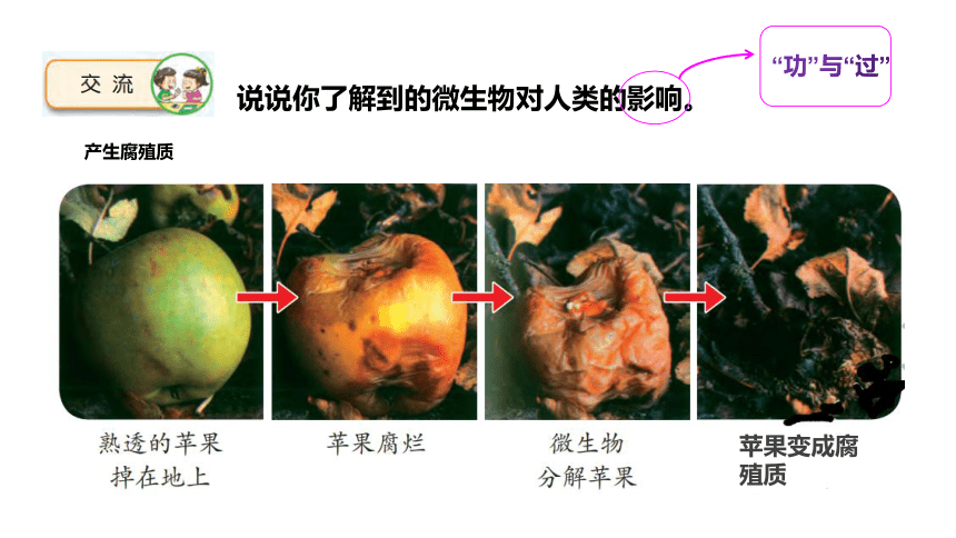 苏教版科学五年级下册1-4 .微生物的“功”与“过”( 课件13ppt)