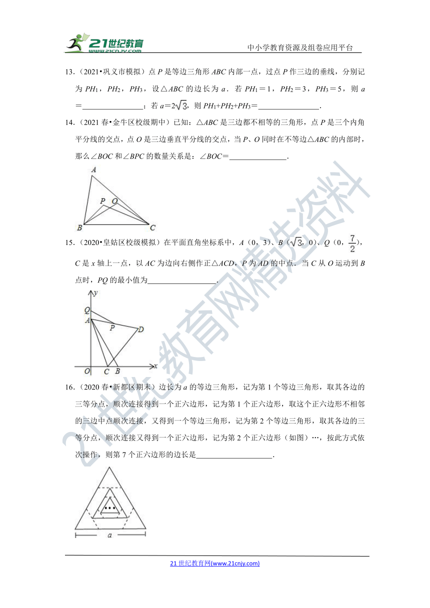 第一章 三角形的证明 专题复习（含解析）