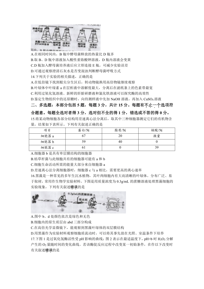 江苏省宿迁市2022-2023学年高一上学期期末考试生物学试题（含答案）