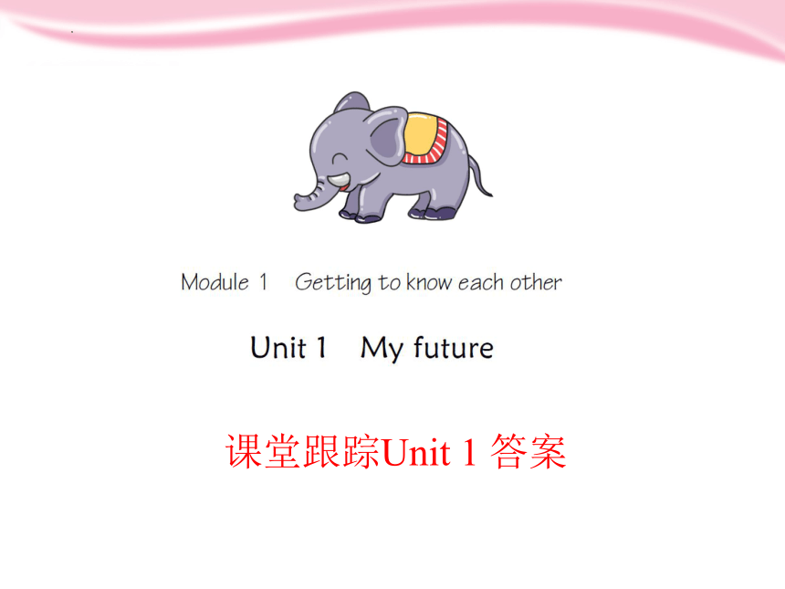 Module 1 Unit 1 My future课件(共24张PPT)
