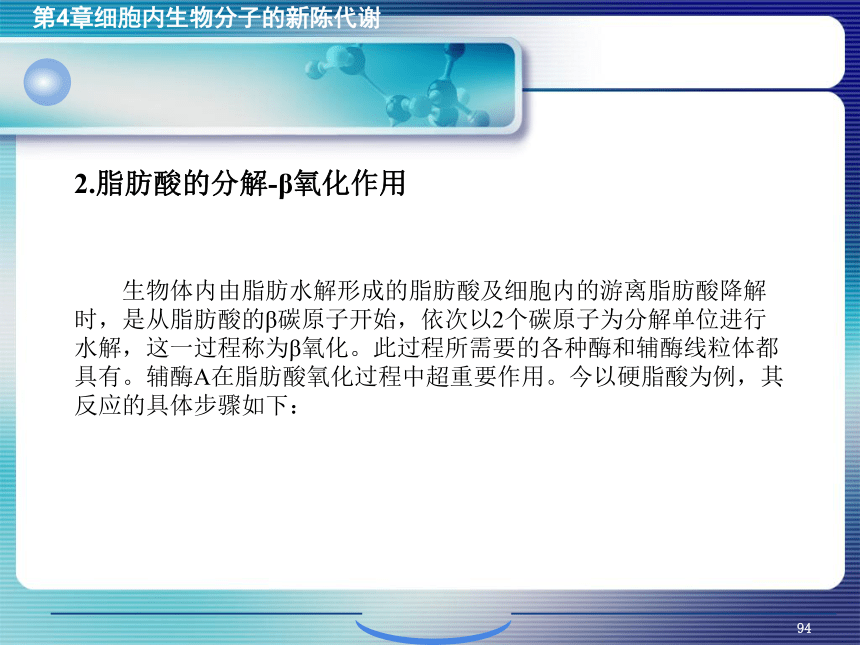 4.细胞内生物分子的新陈代谢_3 课件(共14张PPT）- 《环境生物化学》同步教学（机工版·2020）