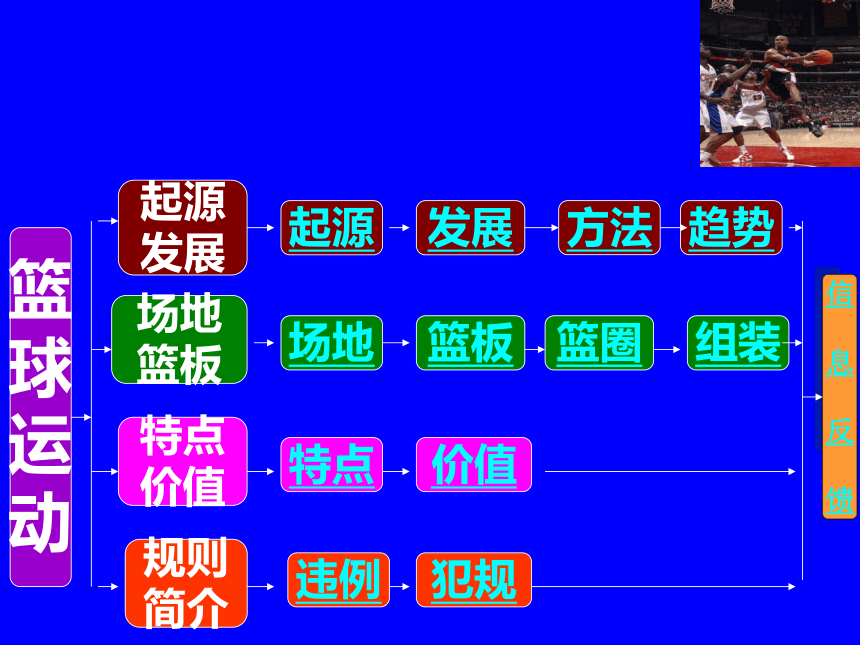 人教版九年级体育与健康《篮球运动基础知识》课件 (25张PPT)